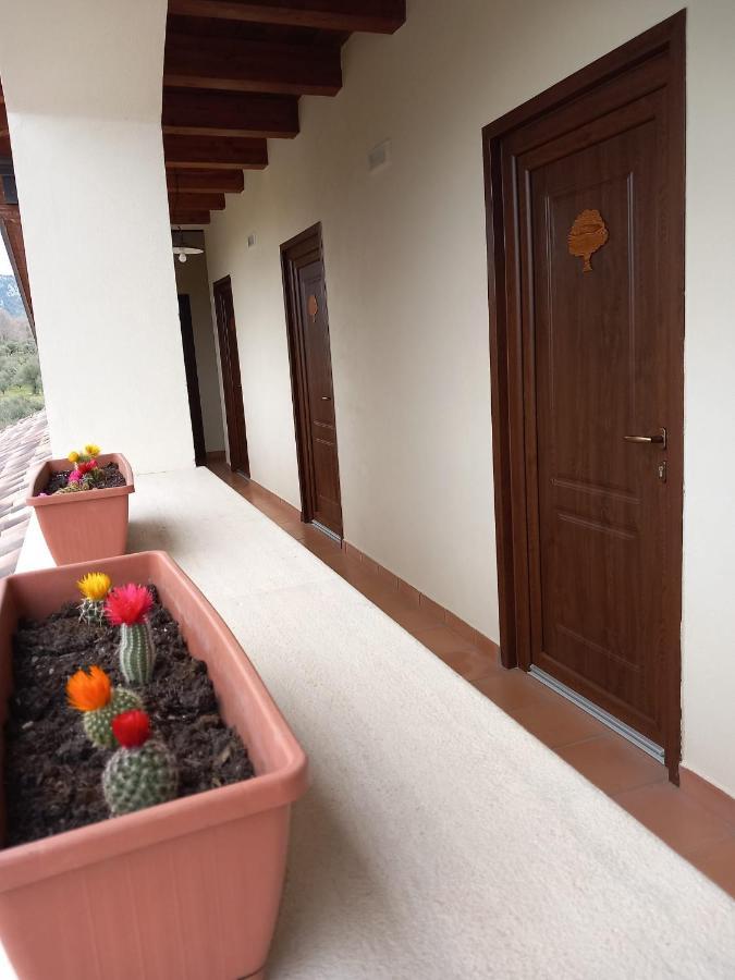 Agriturismo L'Ulivo 파둘라 외부 사진