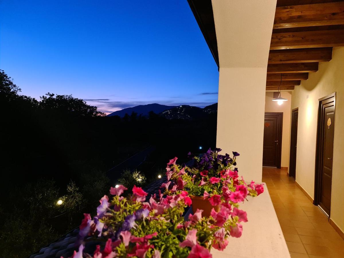 Agriturismo L'Ulivo 파둘라 외부 사진