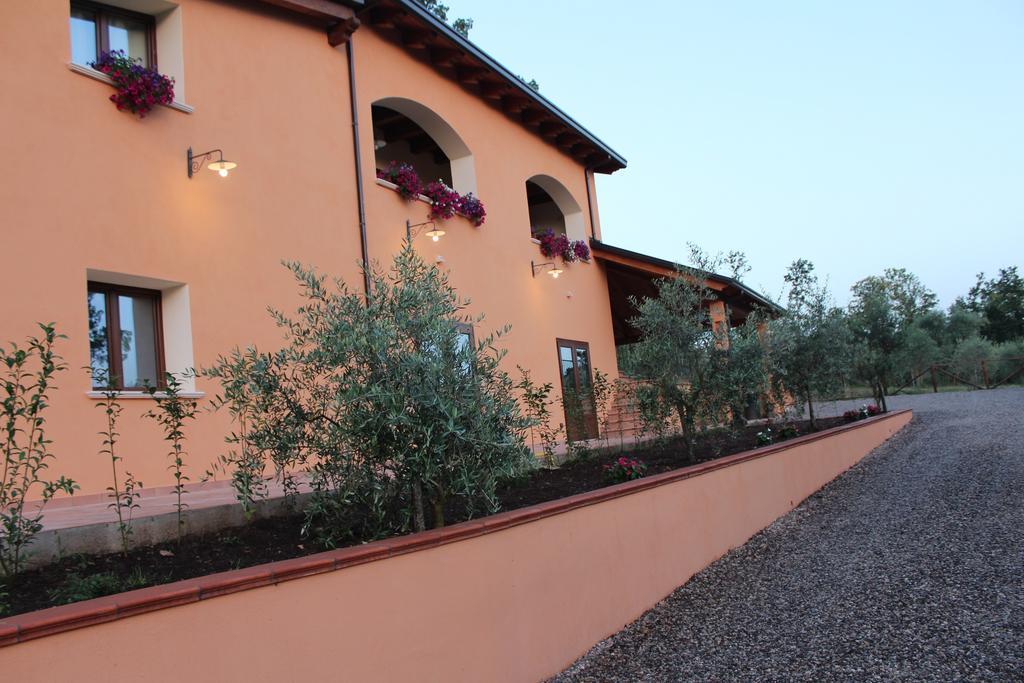 Agriturismo L'Ulivo 파둘라 외부 사진