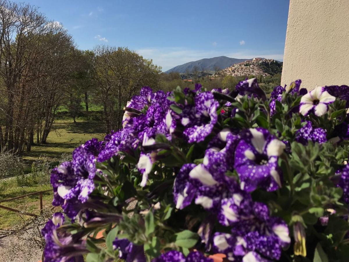 Agriturismo L'Ulivo 파둘라 외부 사진