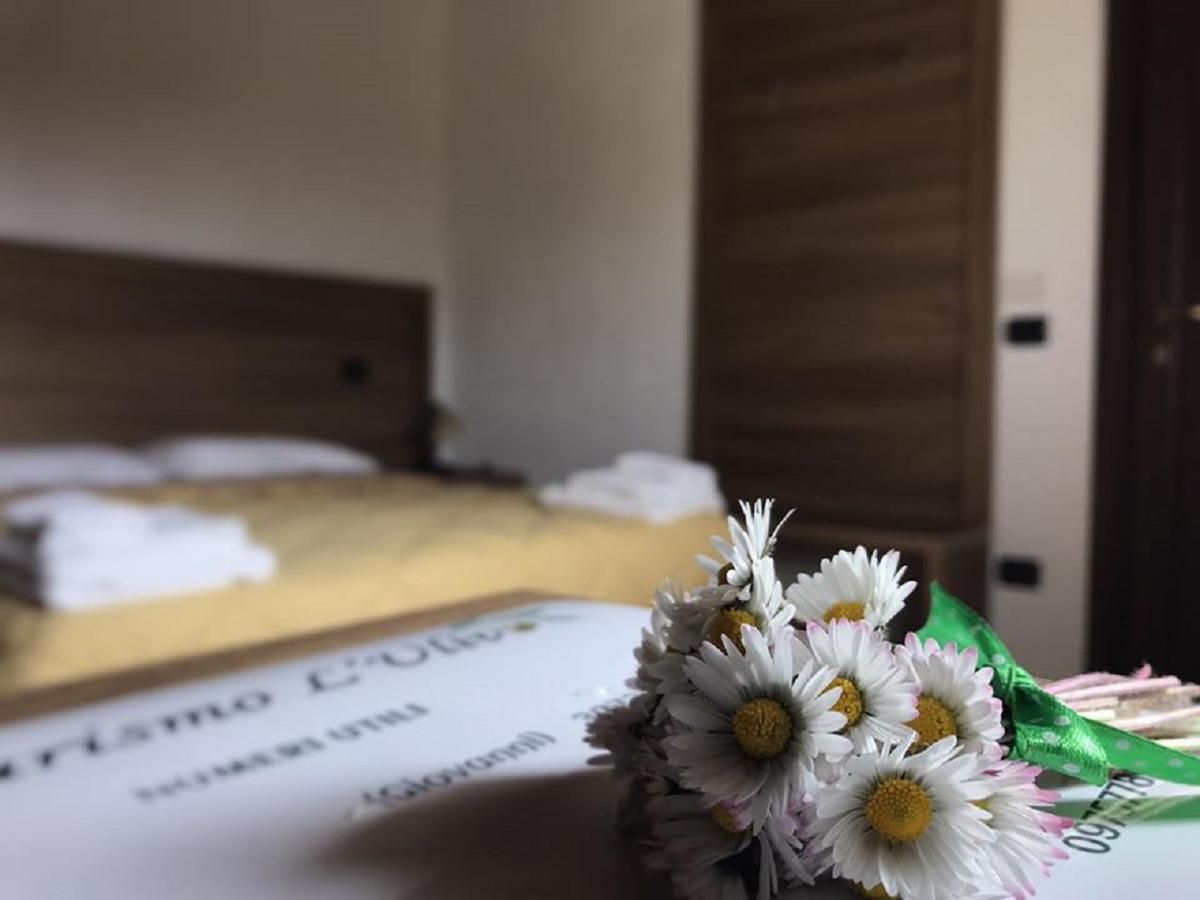 Agriturismo L'Ulivo 파둘라 외부 사진
