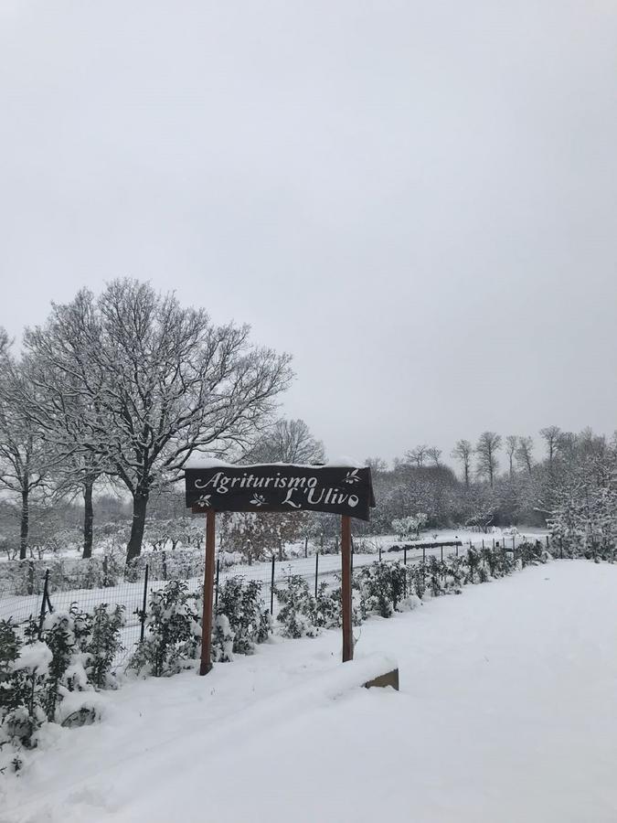 Agriturismo L'Ulivo 파둘라 외부 사진